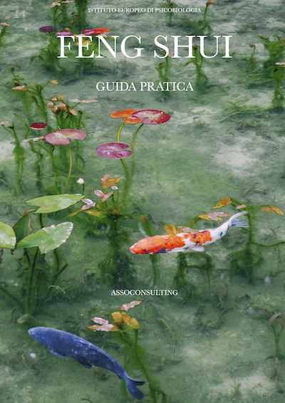 guida pratica al feng shui
