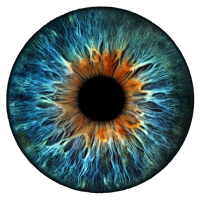iridologia online gratis
