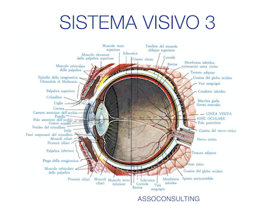 Sistema visivo avanzato