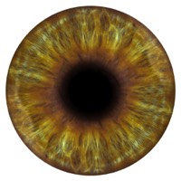iridologia