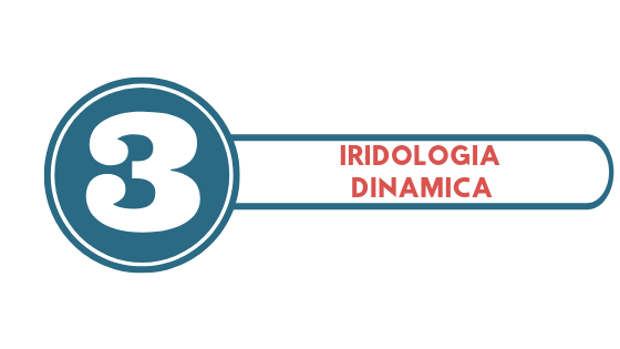 iridologia dinamica